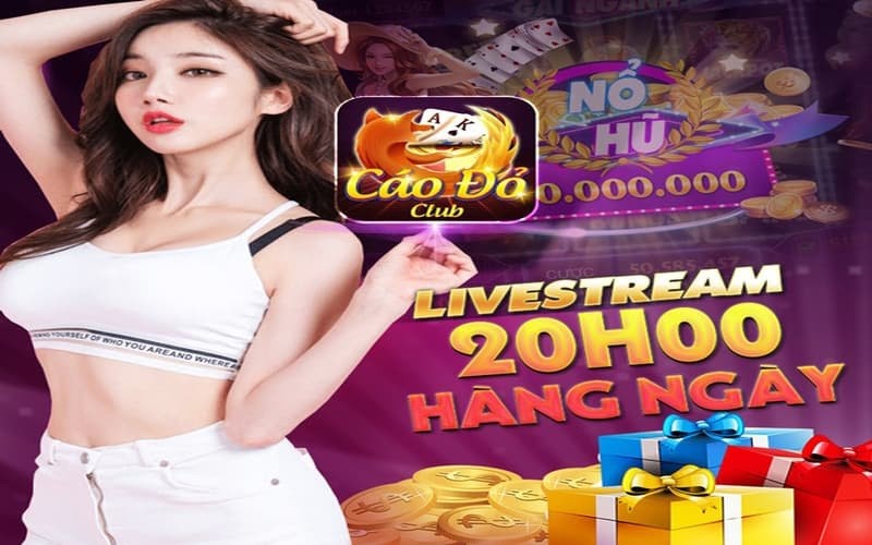 Cáo Đỏ Club